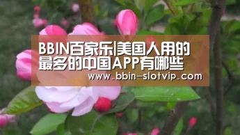 BBIN官网