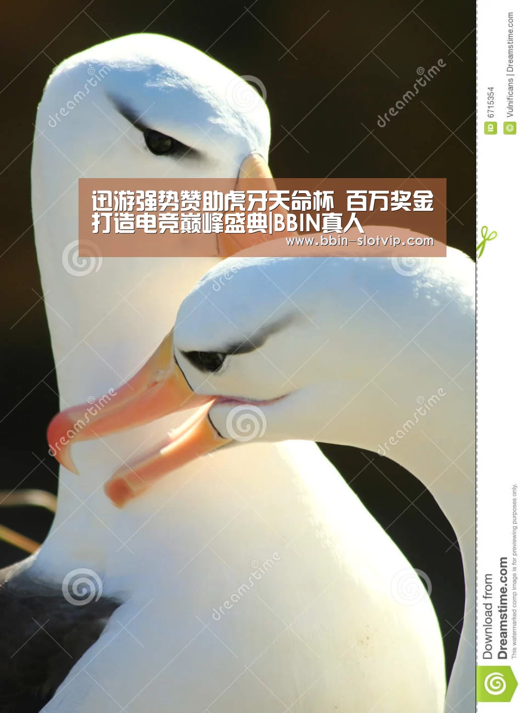 迅游强势赞助虎牙天命杯 百万奖金打造电竞巅峰盛典|BBIN真人(图1) BBIN视讯