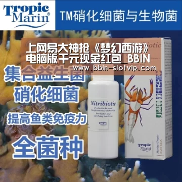 BBIN真人